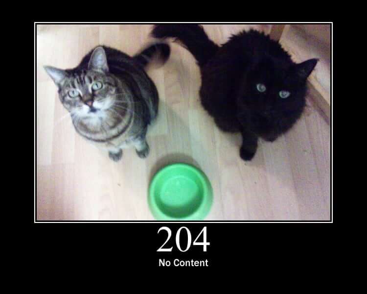 204 NO CONTENT